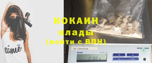 молекула духа Михайлов