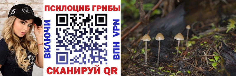 KRAKEN как войти  даркнет сайт  Новомичуринск  Галлюциногенные грибы ЛСД 