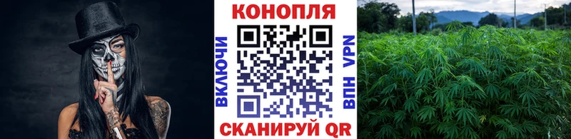 Канабис VHQ  дарк нет какой сайт  Новомичуринск 
